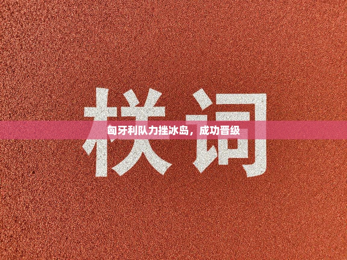 匈牙利队力挫冰岛，成功晋级