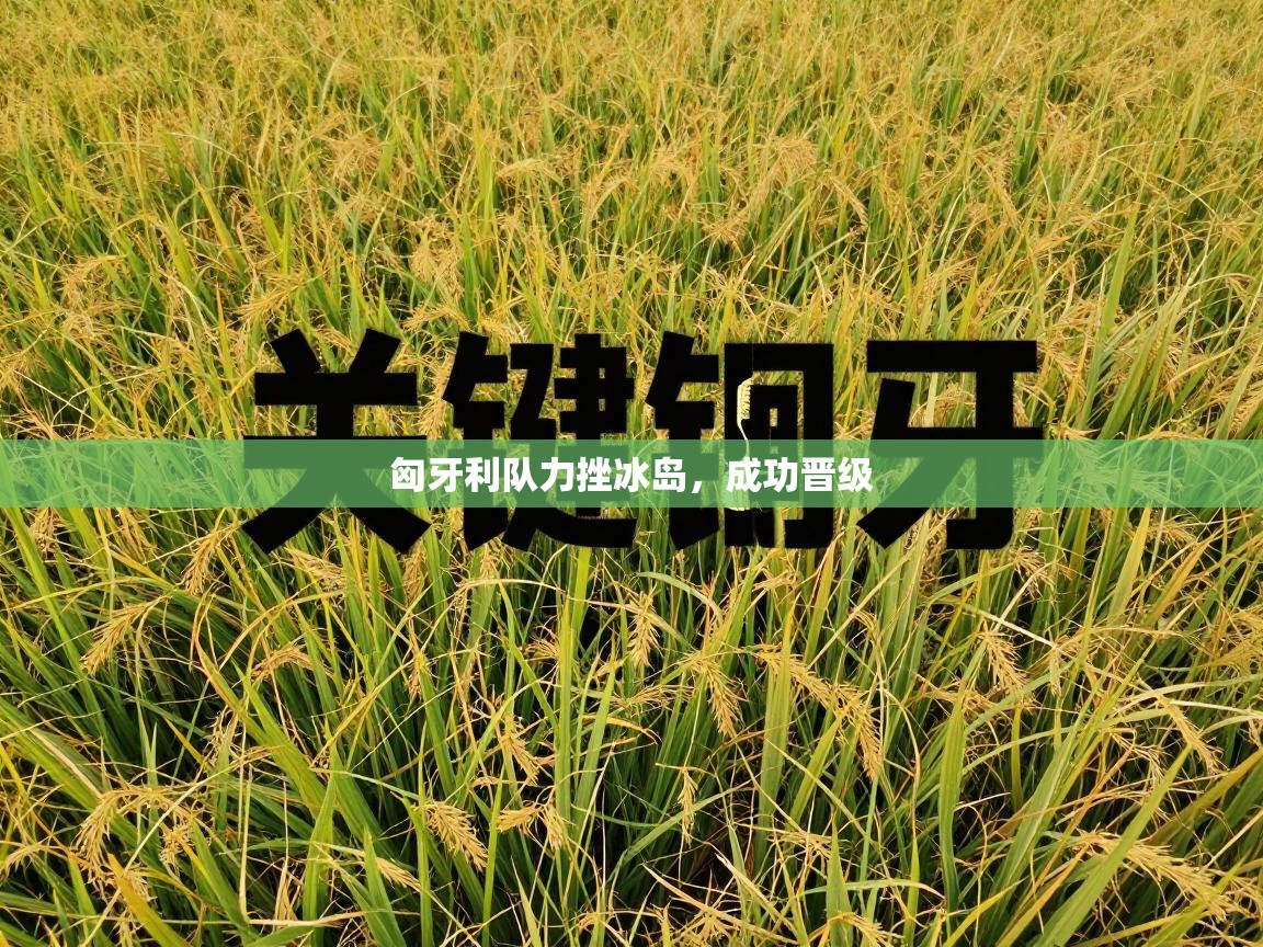 匈牙利队力挫冰岛，成功晋级  第2张