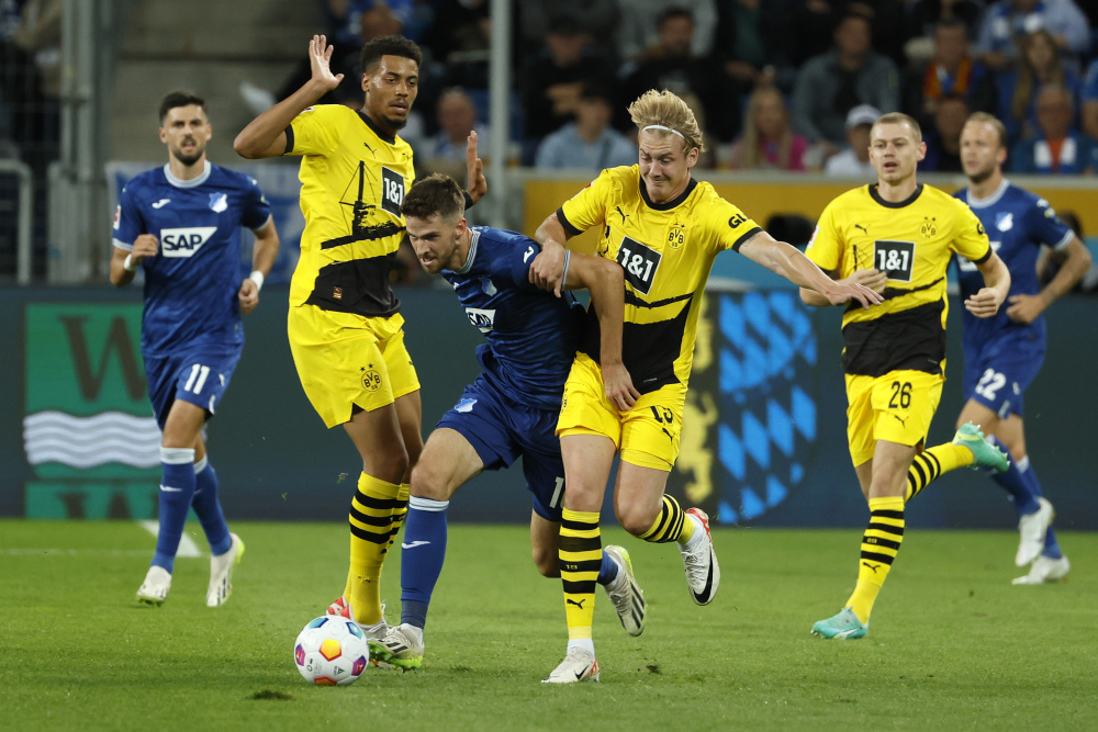 霍芬海姆队在欧预赛中击败对手 霍芬海姆队在欧预赛中击败对手